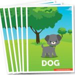 Animal Cards Set